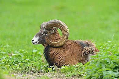 尽管有PvP 但暴雪没有《暗黑破坏神4》的电竞支持计划