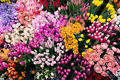 Epic限时独占《暗黑地牢2》 10月26日开启抢先体验